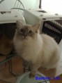 /album/vrh-b-prosinec-2011-1-5-roku/a051020114116-jpg/